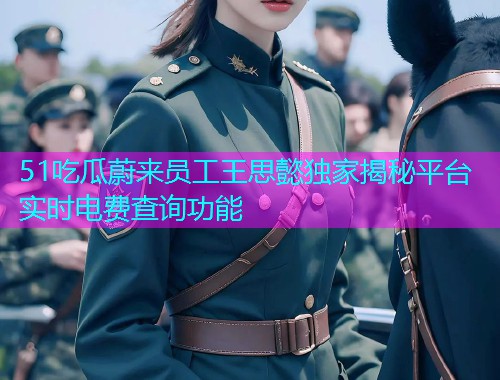 51吃瓜蔚来员工王思懿独家揭秘平台实时电费查询功能